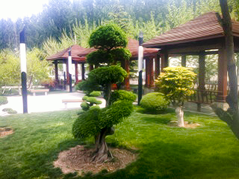 集團(tuán)大明湖園林工程公司成功中標(biāo)玉清湖街道辦事處鄉(xiāng)村連片治理項(xiàng)目二標(biāo)段景觀綠化工程